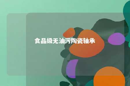 食品级无油污陶瓷轴承 